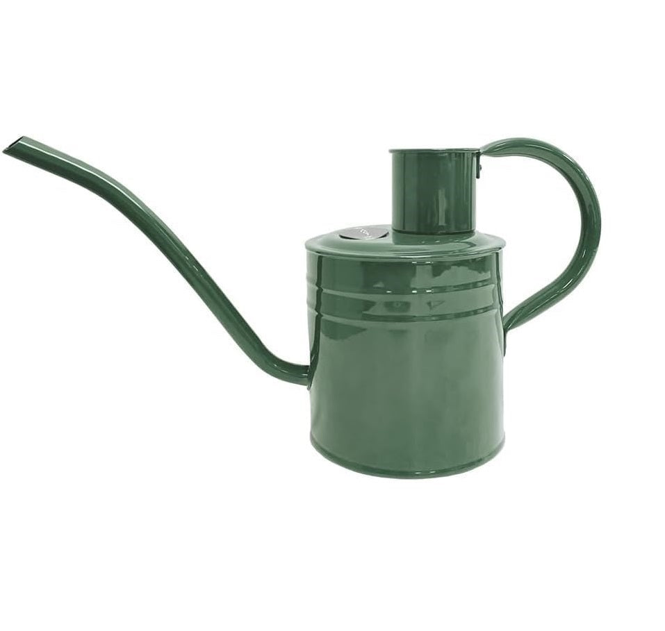 1L Indoor Watering Can Metal with Handle and Long Spout - Sage Green